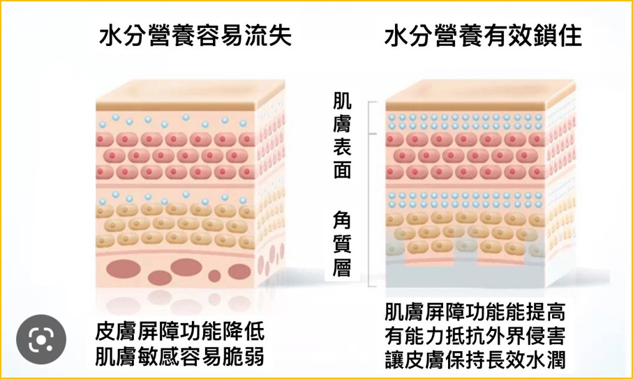 打造水煮蛋肌不是夢！酸類煥膚為皮膚打好地基 把握28天代謝週期