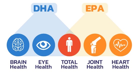 DHA和EPA