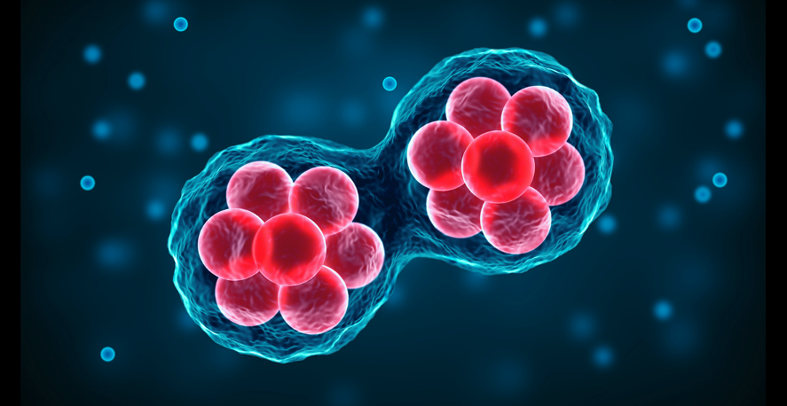 人體外泌體與幹細胞差異在哪？專家揭密最真實差異